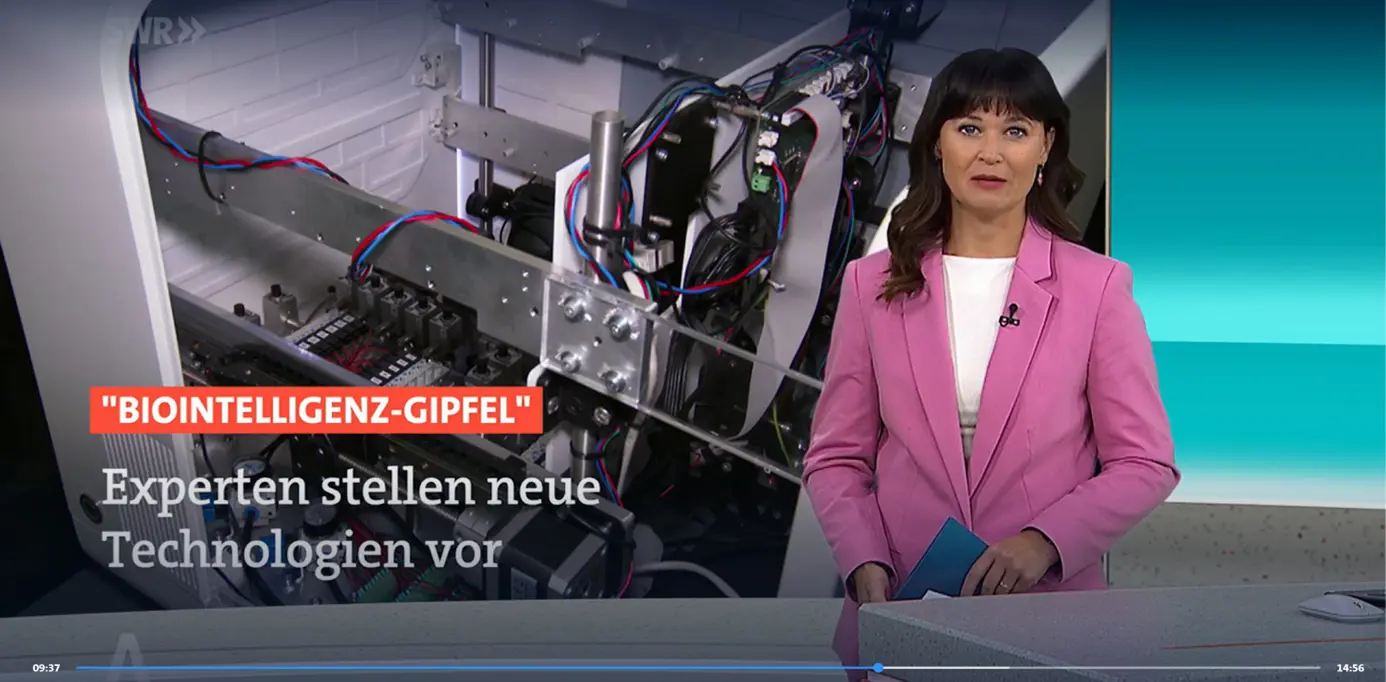 Standbild SWR-Nachrichten