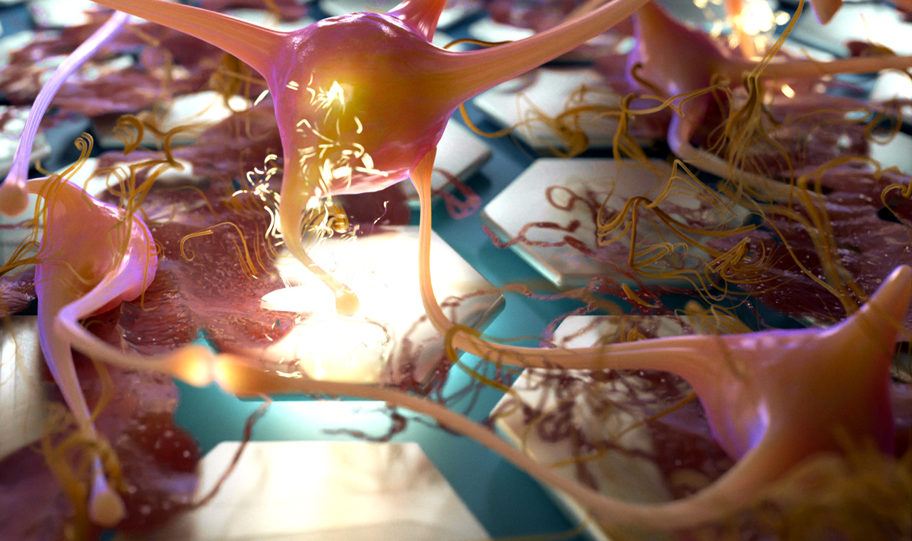 Symbolbild: Neuronen